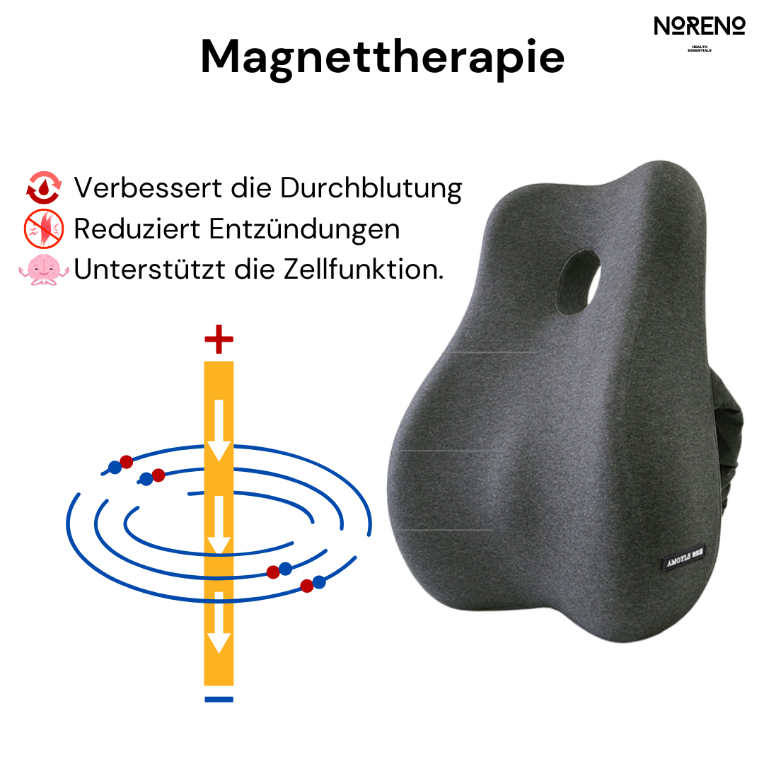 ErgoSupport Rückenkissen mit integrierter Magnettherapie für verbesserte Blutzirkulation und Linderung von Rückenschmerzen.